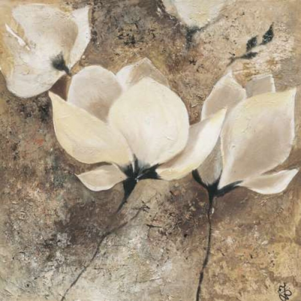 Magnolia II Poster Print by Yuliya Volynets - Item # VARPDXGA0116276